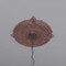 Ekena Millwork Attica PVC Medallion (Canopies up to 5 5/8"), 16"OD x 3 1/2"ID x 1"P, Metallic Champagne Pink CMP16ATFCP - alternate 10